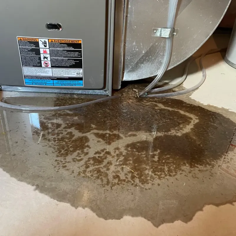 Appliance Leak Cleanup in Oakland County, MI